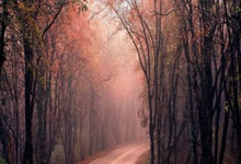 开拓者主帅破纪录！斯托茨成职业生涯第二