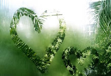 开拓者主帅破纪录！斯托茨成职业生涯第二