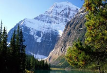 赖特博得比赛MVP，帮助美国男篮晋级决赛