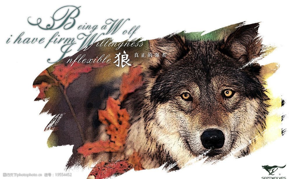 b体育 官网-包含沙漠狼辗压对手，实力超群！的词条