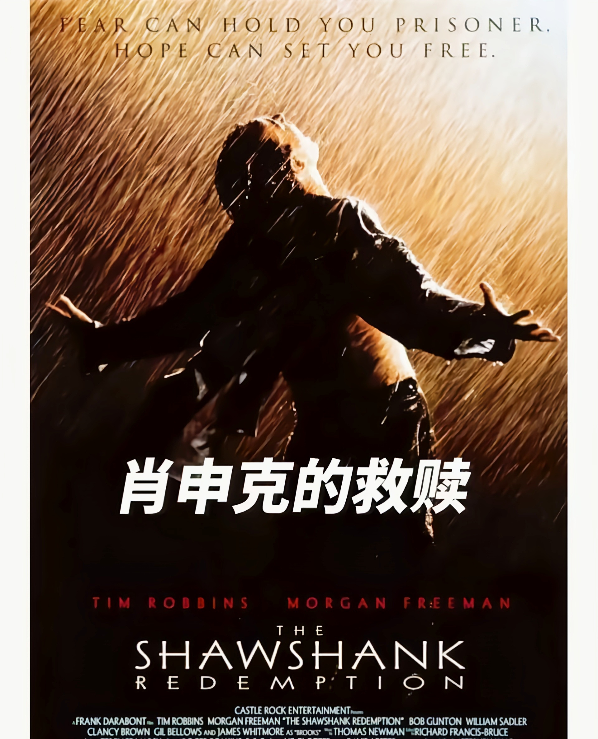 包含西悉尼流浪者战术多变，力争战胜强敌的词条