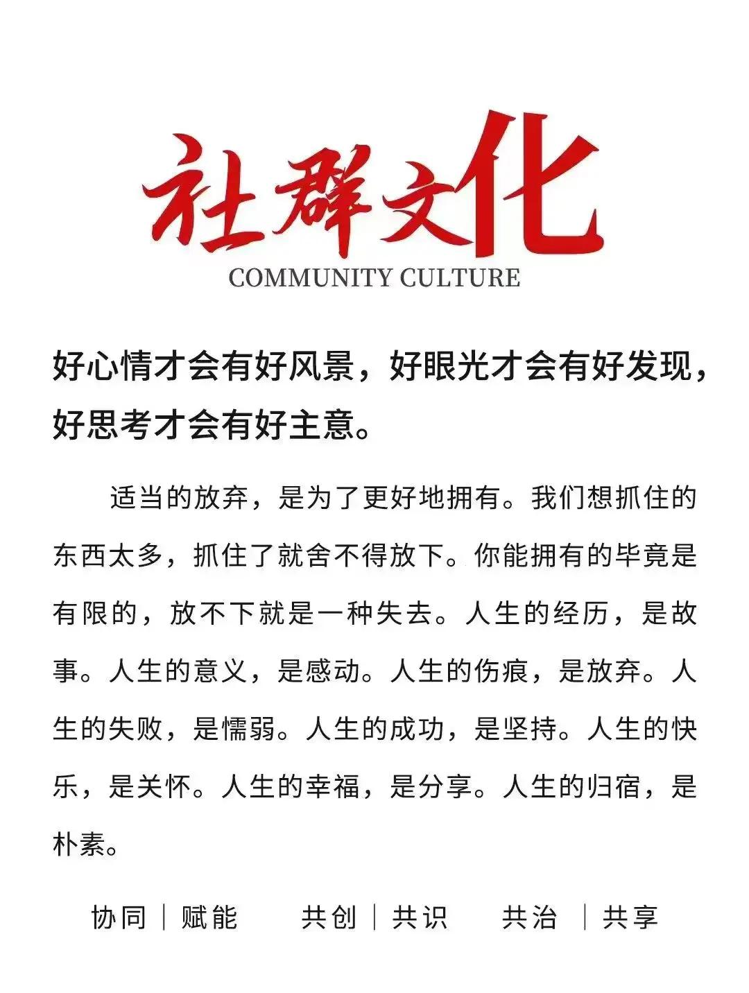 b体育 官网-宁夏发挥团队力量，以团结之姿取得胜利